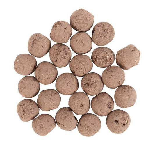 Wildflower Seed Bombs - Easy Garden Blooms for Bees & Butterflies