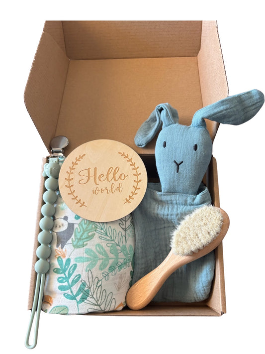 Newborn Baby Gift Box- Blue Safari