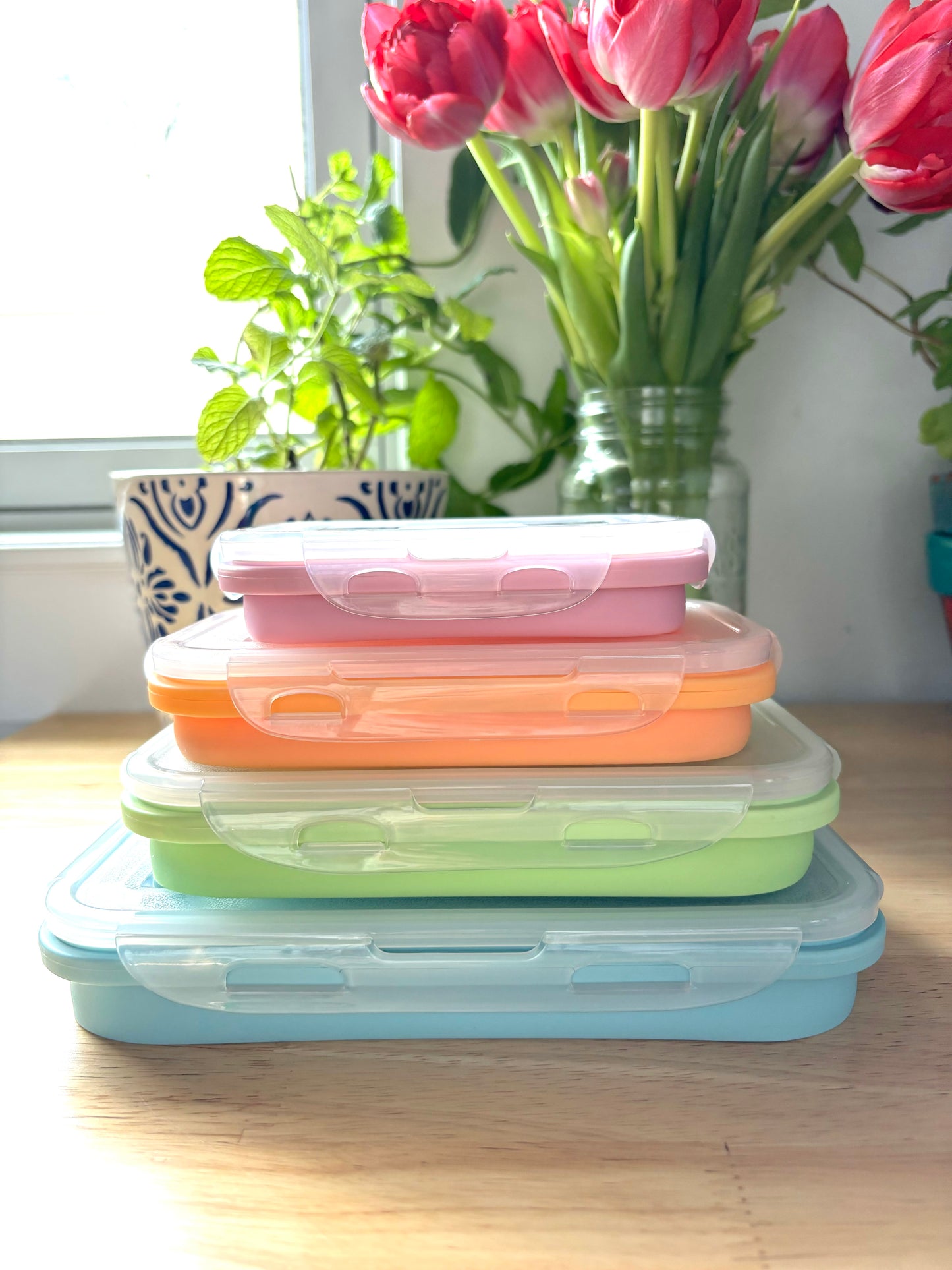 Colorful Collapsible Silicone Food Container Set