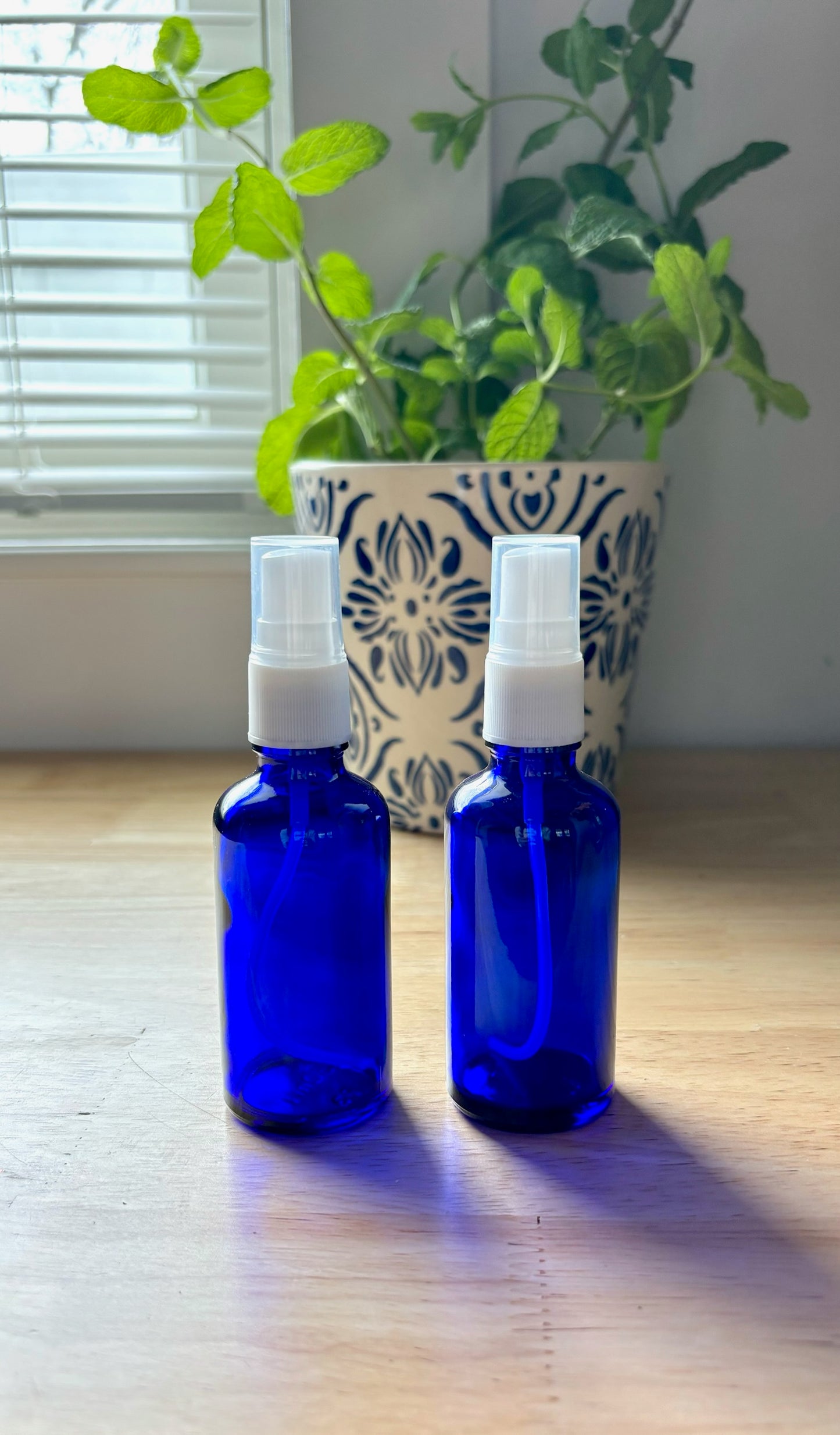 Small Spray Bottle Set of 2 in Blue