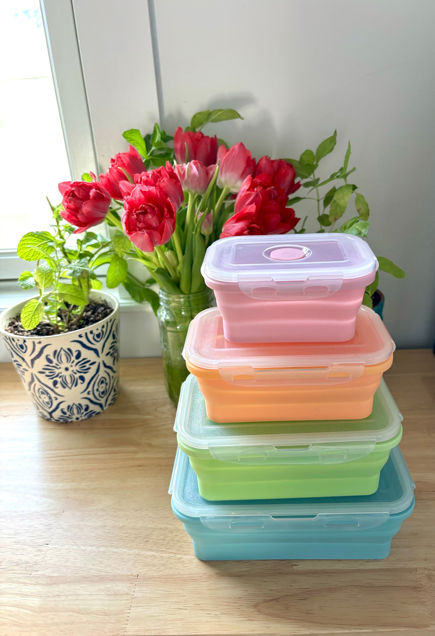 Colorful Collapsible Silicone Food Container Set