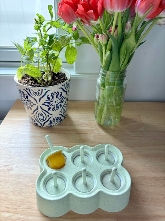 Ice Pop Mold