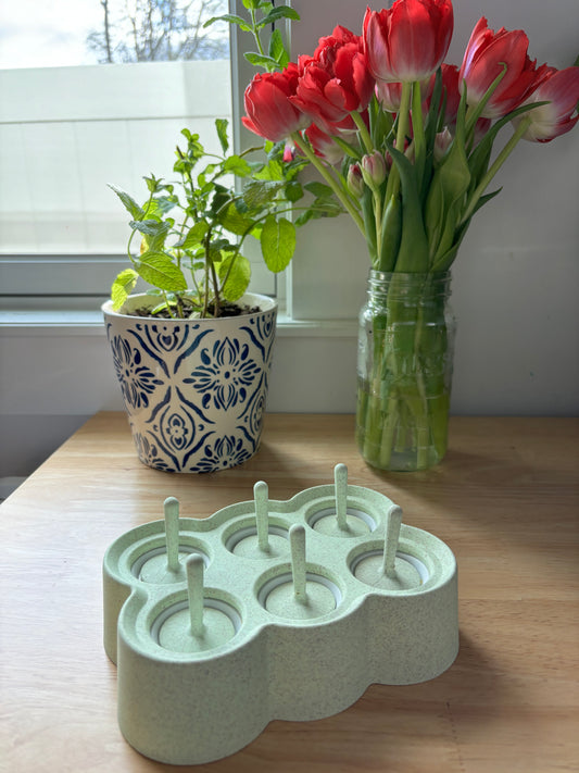 Ice Pop Mold