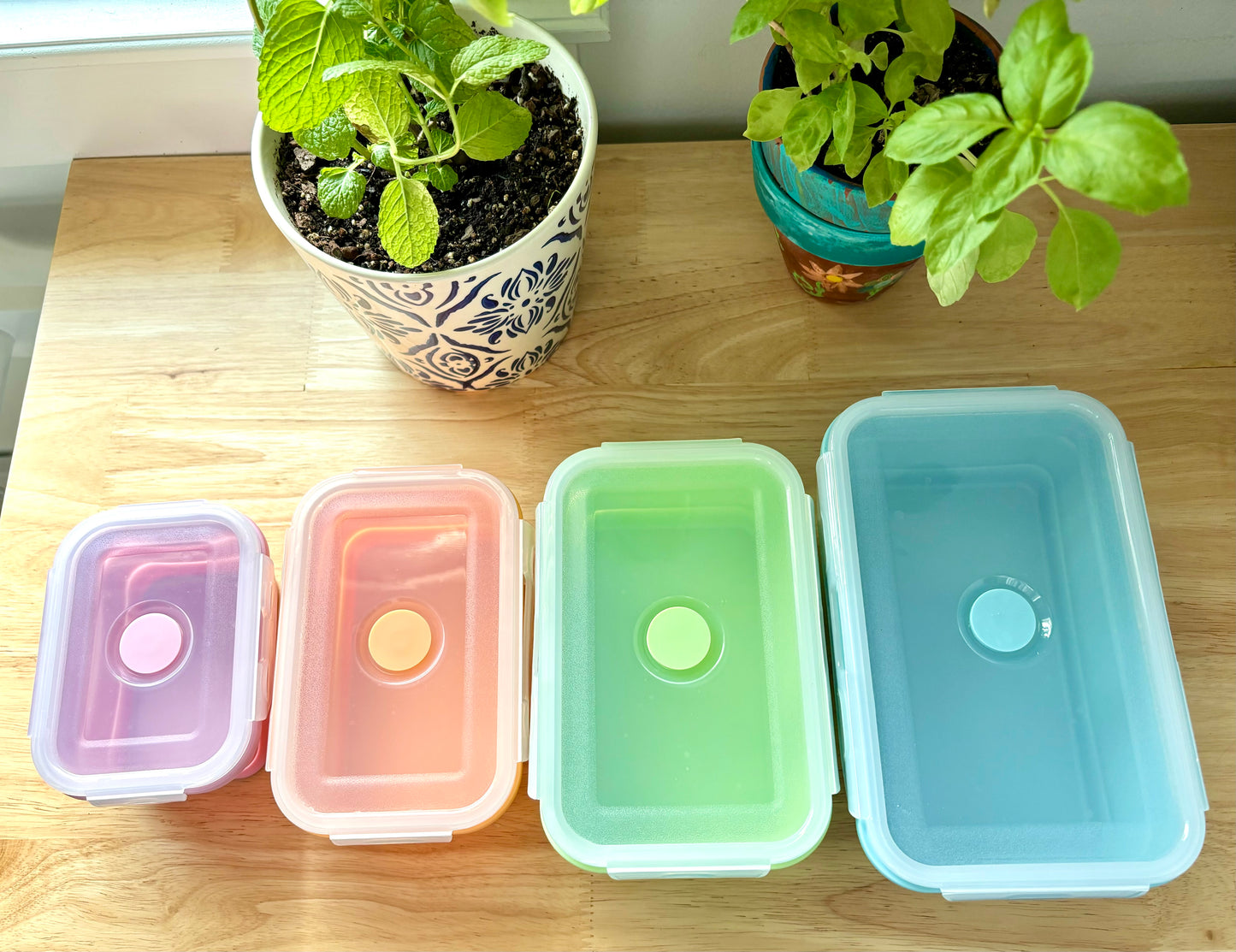 Colorful Collapsible Silicone Food Container Set